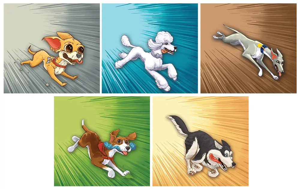 five dog breeds on colored backgrounds with the zoomies