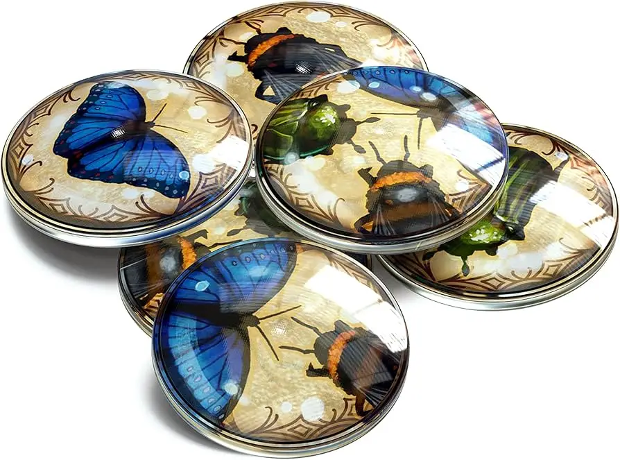 glass pieces with insects on them