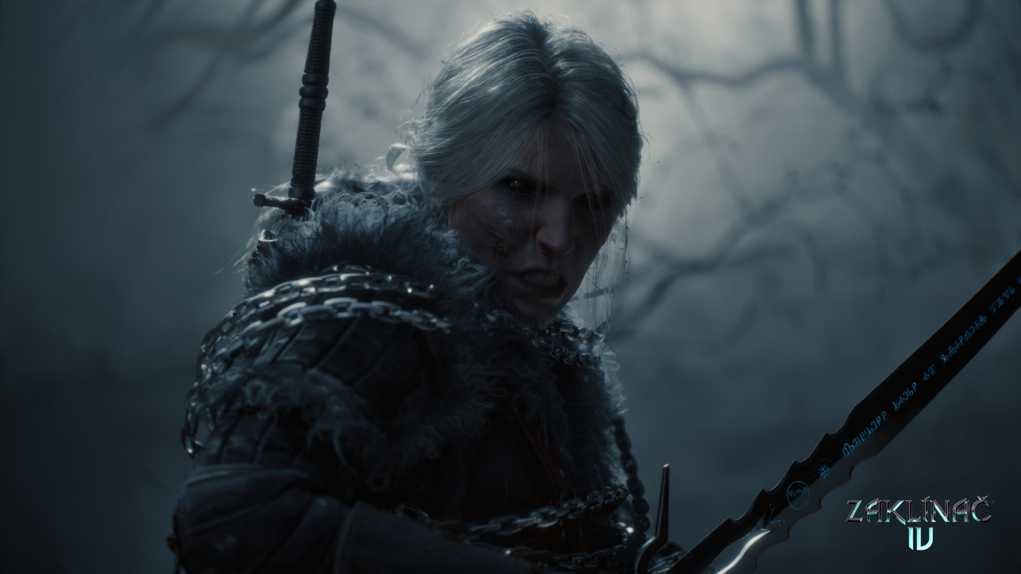 Ciri in The Witcher IV